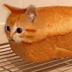 Meet your Posher, Christian